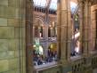  vue depuis une des galeries supérieures du museum